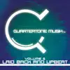 Various Artists & Selectracks Instrumental Catalog - Quartertone Musik Vol. 6 - Laid Back and Upbeat
